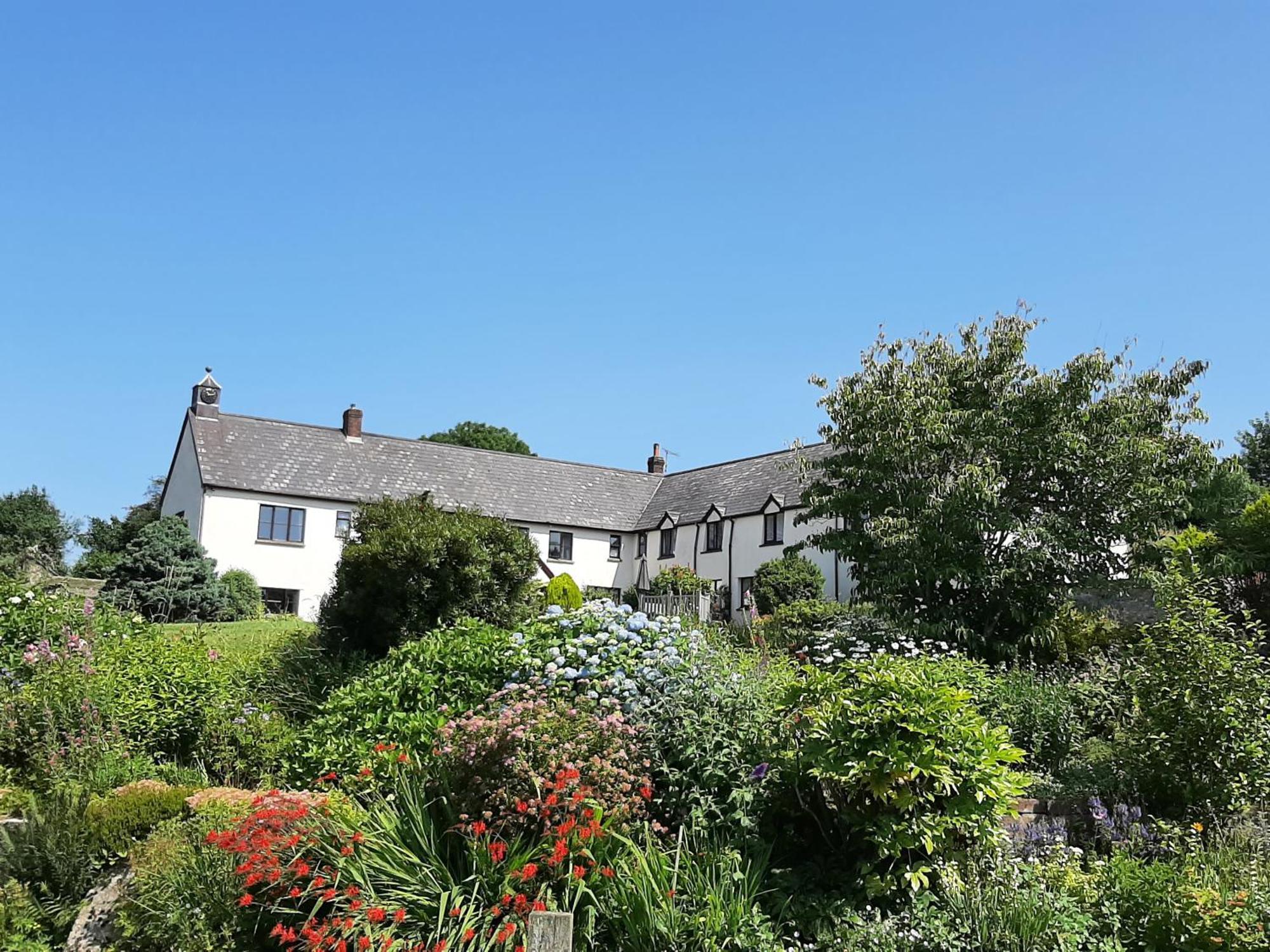 Coombe Cottage South Molton Exterior photo